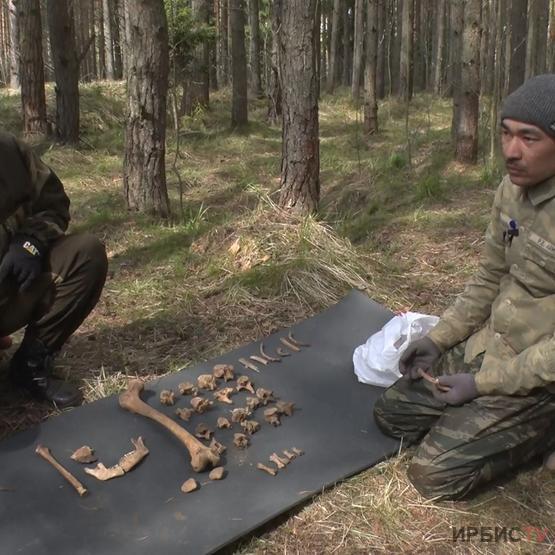 Родственников солдата, погибшего в годы Великой Отечественной войны, пытаются установить павлодарские поисковики
