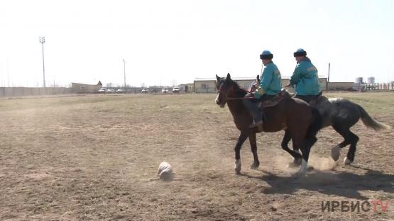 Борьба на скакунах набирает популярность в Павлодарской области